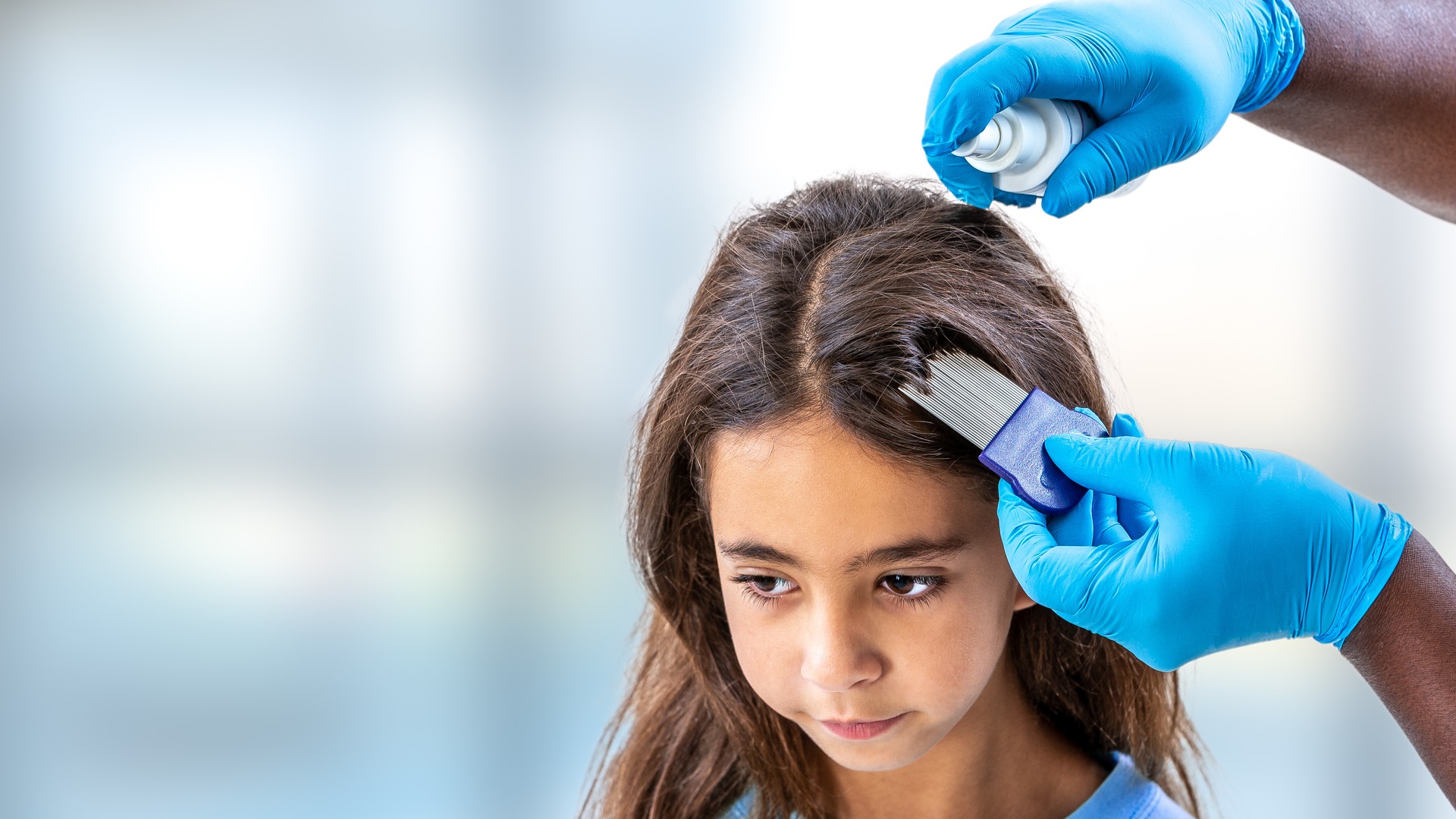 Why Are Nits So Hard To Get Out Of Hair?