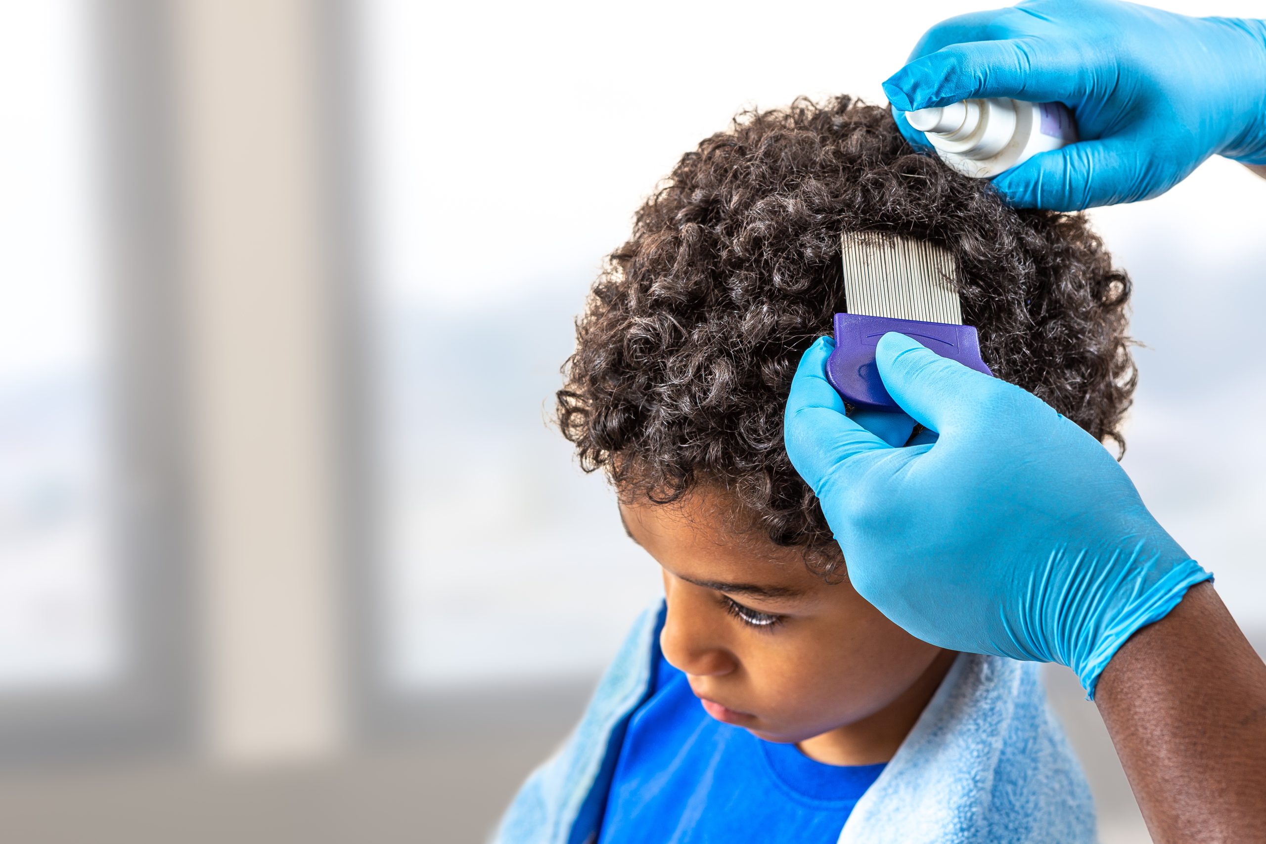 How Do You Prevent Lice After Your Child Is Exposed? featured image