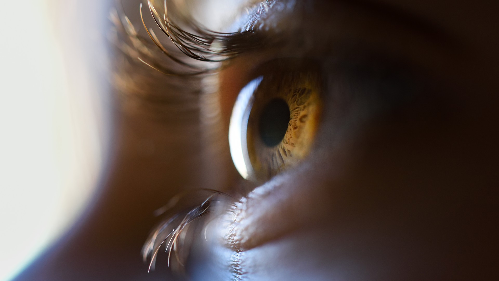 Close-up of a child's eye with long lashes used to illustrate a guide on whether head lice can live on eyelashes or eyebrows