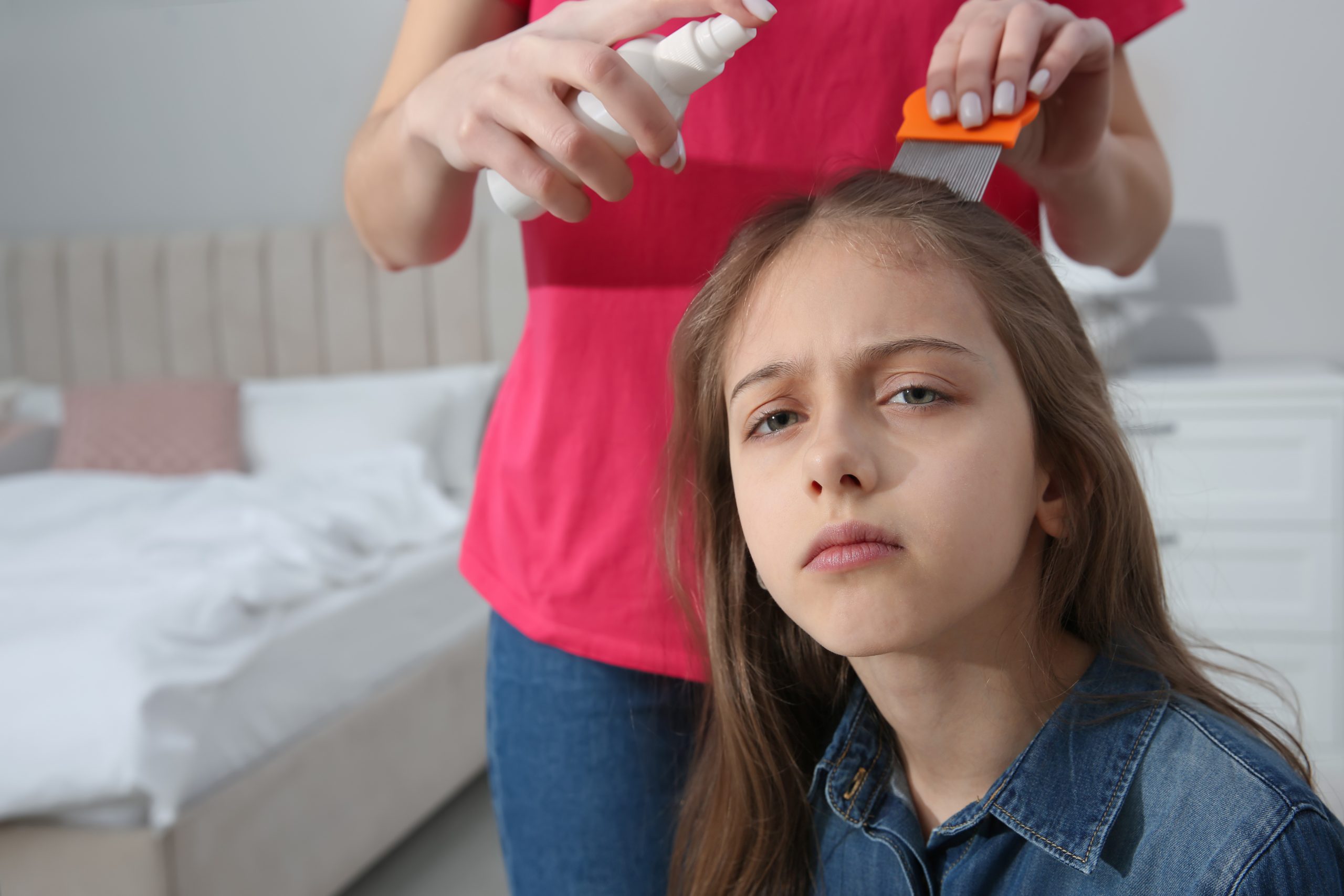 A Union County parent at home using a metal nit comb and an over-the-counter lice spray on a child's wet hair — the exact moment the article's question 'what kills lice and eggs instantly' actually lands.
