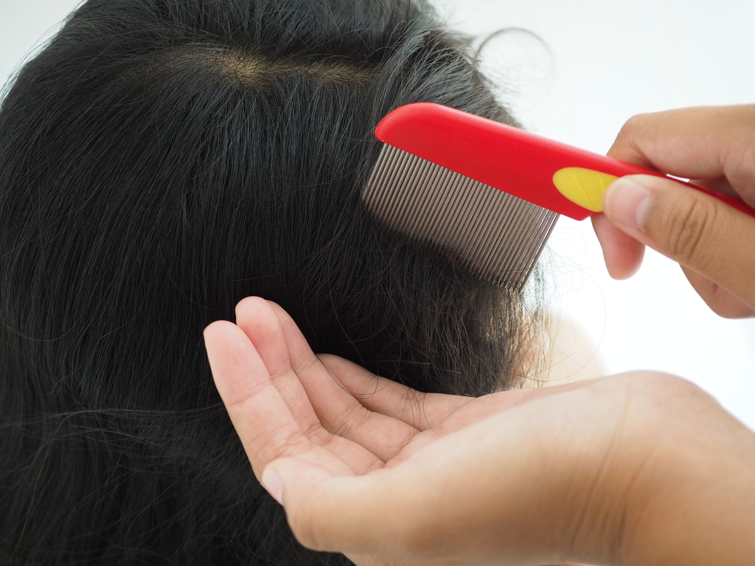 Mother checking child girl head for lice with a comb. Closeup photo, blurred.