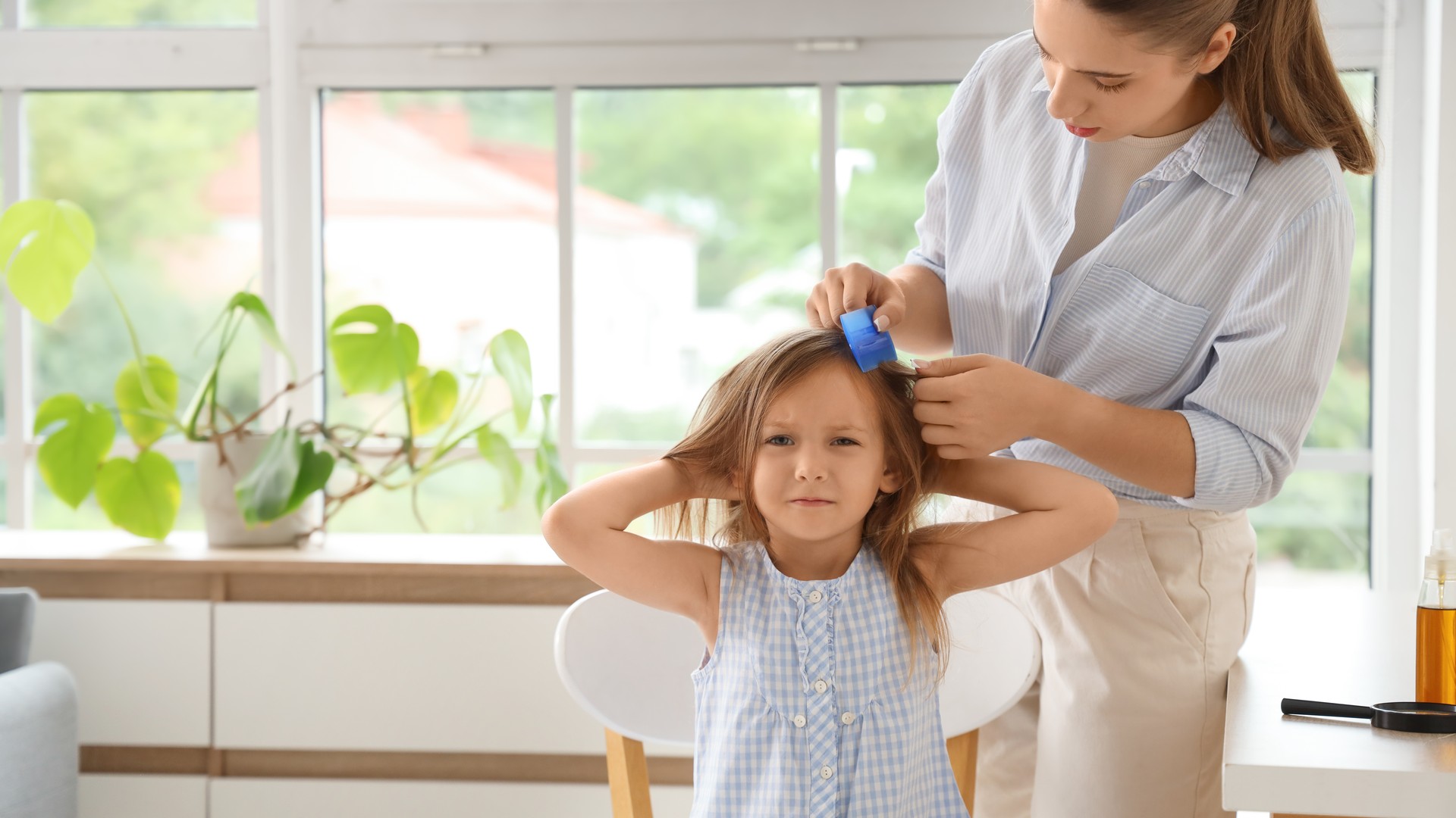 Which Lice Treatment Products Actually Work?