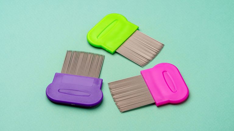 Drugstore Kit, Doctor, or Lice Clinic: What Actually Ends It