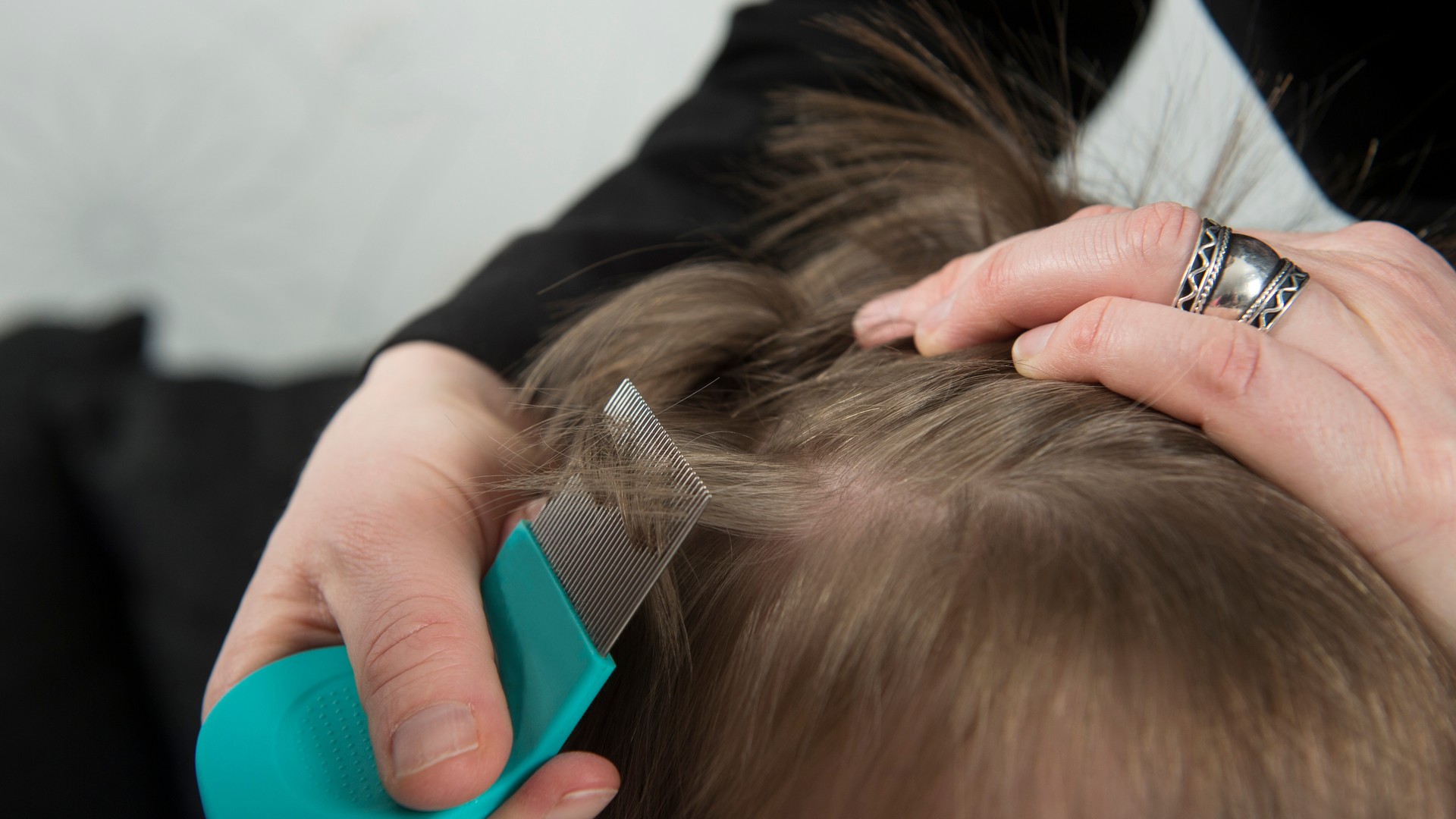 When One Child Has Lice, Who Else Needs A Check?