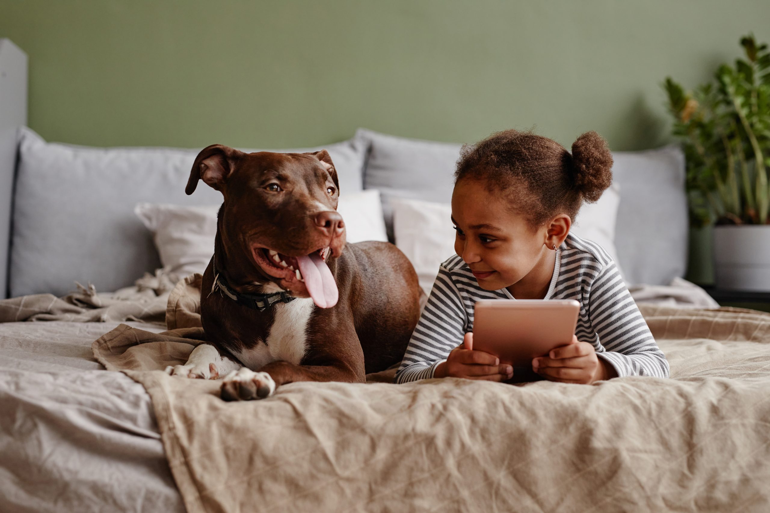 Child relaxing at home with a pet dog for a pets and head lice article