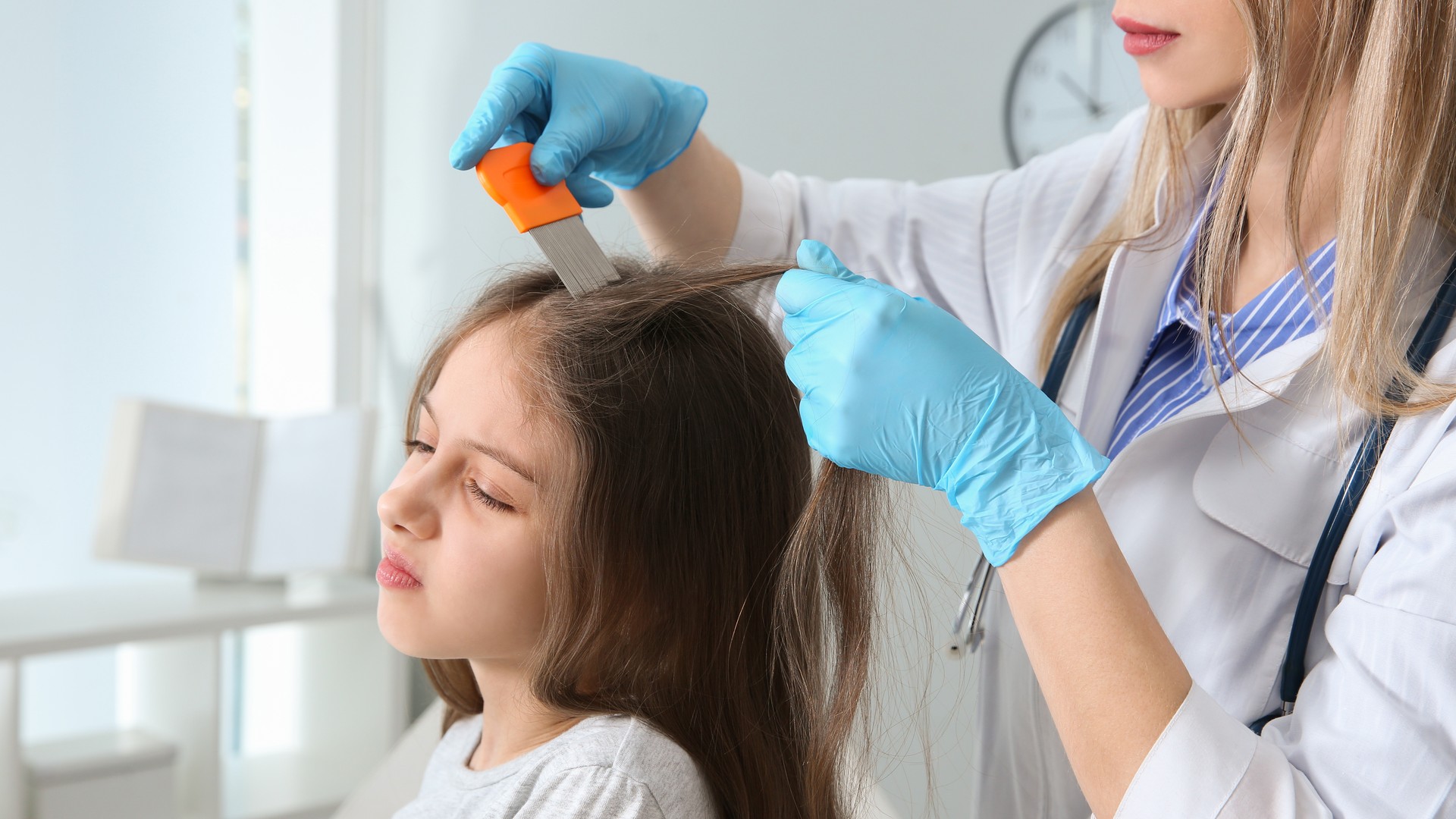 School Lice Screenings Are Built for Speed, Not Certainty featured image