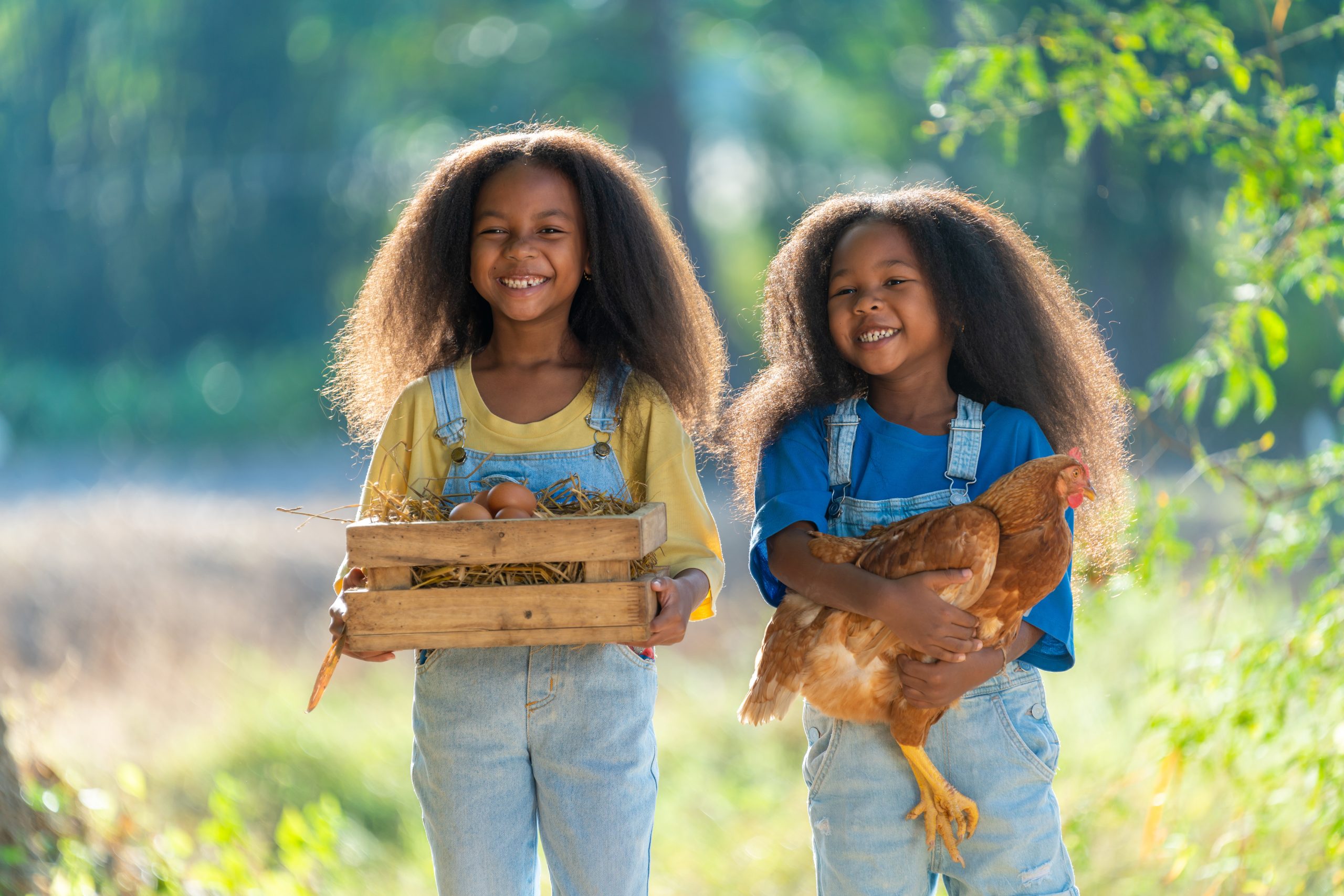 Two children outdoors, one holding a chicken and the other a crate of eggs